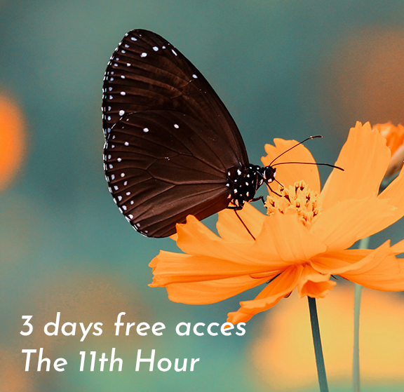 3 DAYS FREE ACCES 11TH HOUR